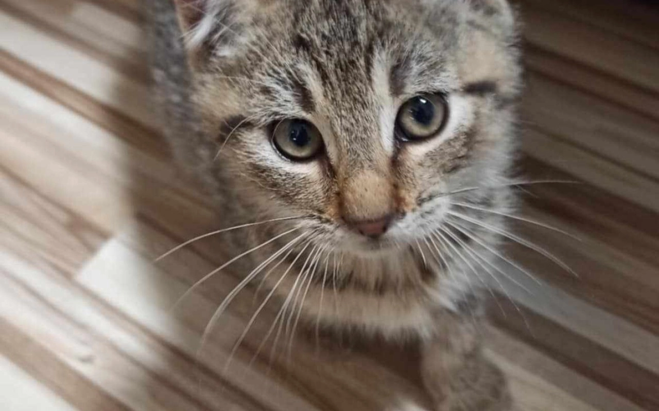 Nabídka volného pracovního místa