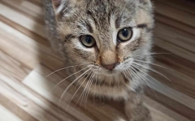 Aktuality - Nabídka volného pracovního místa